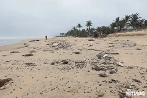 The Sad Reality of a World-Class Bay: Beautiful Beaches Left Ruined and Neglected - image 11