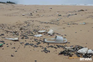 The Sad Reality of a World-Class Bay: Beautiful Beaches Left Ruined and Neglected - image 1