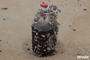 The Sad Reality of a World-Class Bay: Beautiful Beaches Left Ruined and Neglected - image 2