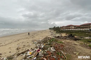 The Sad Reality of a World-Class Bay: Beautiful Beaches Left Ruined and Neglected - image 6