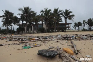 The Sad Reality of a World-Class Bay: Beautiful Beaches Left Ruined and Neglected - image 10