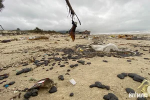 The Sad Reality of a World-Class Bay: Beautiful Beaches Left Ruined and Neglected - image 3