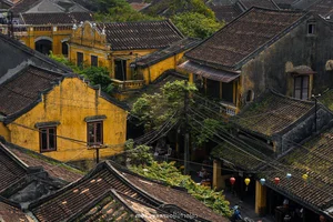 The Vietnamese City That Charmed Bill Gates: A Destination Surpassing Global Icons - image 3
