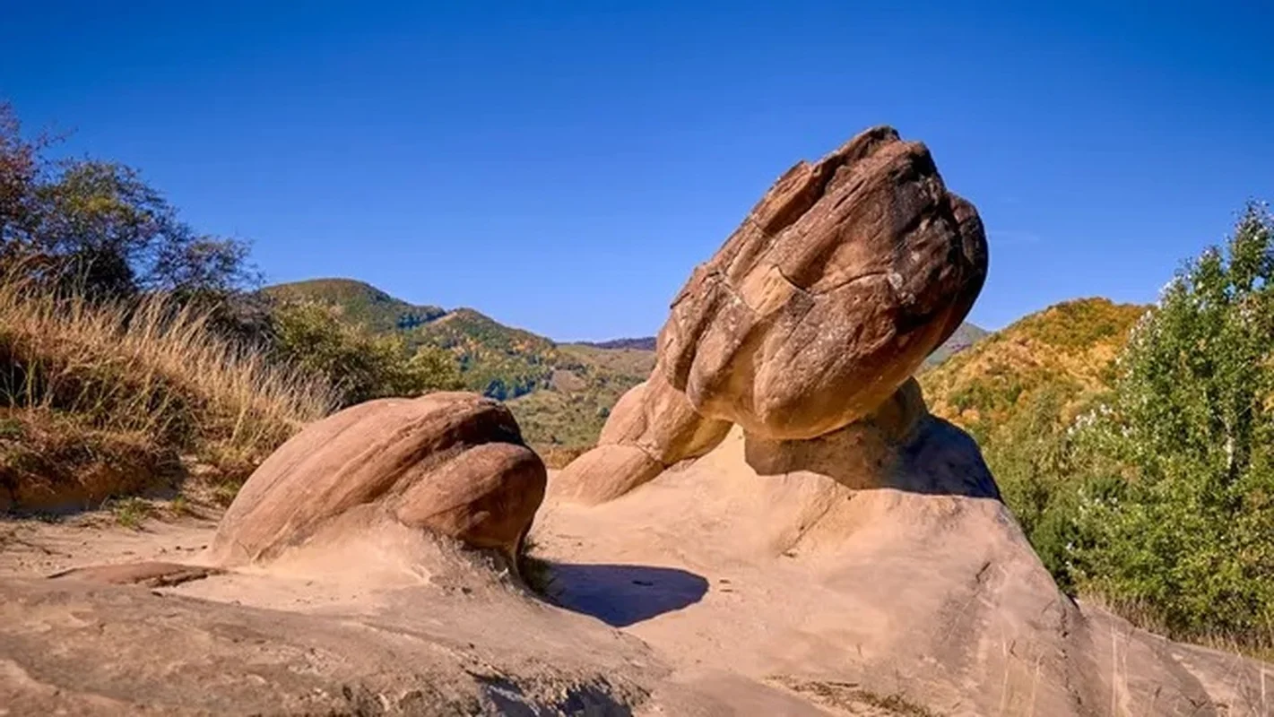 The Mystery of Trovants: Exploring the Living Stones That Grow and Reproduce After Rain