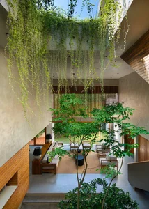30 Stunning Front Yard Flower Trellis and Climbing Plant Designs for Shade - image 2
