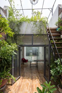30 Stunning Front Yard Flower Trellis and Climbing Plant Designs for Shade - image 29