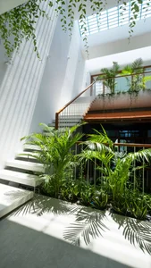 30 Stunning Front Yard Flower Trellis and Climbing Plant Designs for Shade - image 18