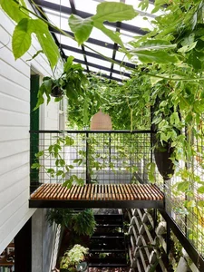 30 Stunning Front Yard Flower Trellis and Climbing Plant Designs for Shade - image 8