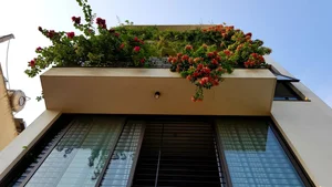 30 Stunning Front Yard Flower Trellis and Climbing Plant Designs for Shade - image 21