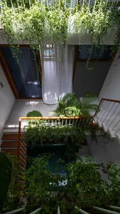30 Stunning Front Yard Flower Trellis and Climbing Plant Designs for Shade - image 20