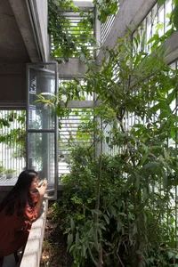 30 Stunning Front Yard Flower Trellis and Climbing Plant Designs for Shade - image 7