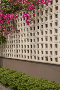 30 Stunning Front Yard Flower Trellis and Climbing Plant Designs for Shade - image 15