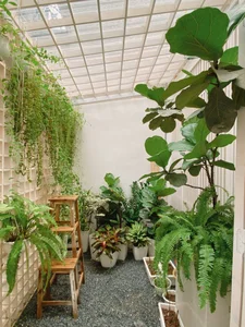 30 Stunning Front Yard Flower Trellis and Climbing Plant Designs for Shade - image 22