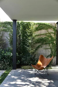 30 Stunning Front Yard Flower Trellis and Climbing Plant Designs for Shade - image 14