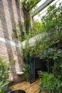 30 Stunning Front Yard Flower Trellis and Climbing Plant Designs for Shade - image 24
