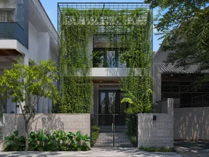 30 Stunning Front Yard Flower Trellis and Climbing Plant Designs for Shade - image 9