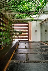30 Stunning Front Yard Flower Trellis and Climbing Plant Designs for Shade - image 13