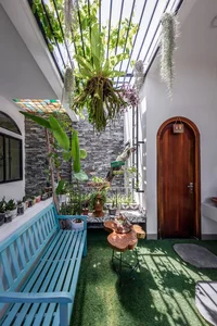 30 Stunning Front Yard Flower Trellis and Climbing Plant Designs for Shade - image 28