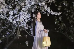 YiTuYu Vol.8782: Chu Yuan Yuan's Ethereal Beauty Amidst Cherry Blossoms Night - image 17