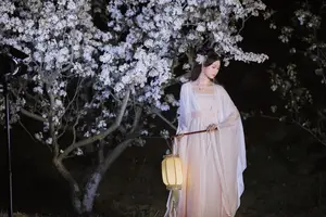 YiTuYu Vol.8782: Chu Yuan Yuan's Ethereal Beauty Amidst Cherry Blossoms Night - image 0