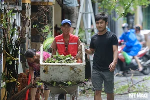 Hoi An Community Unites for Post-Storm Cleanup - image 2