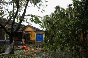 Hoi An Community Unites for Post-Storm Cleanup - image 3