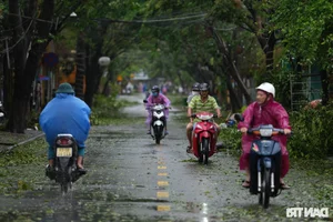 Hoi An Community Unites for Post-Storm Cleanup - image 1