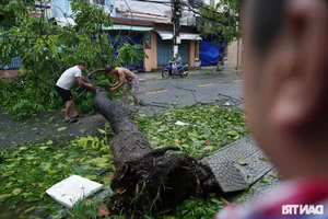 Hoi An Community Unites for Post-Storm Cleanup - image 4