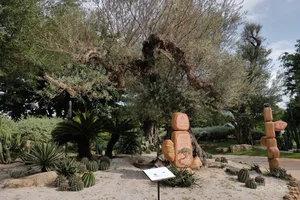 Discovering the Ancient Centuries-Old Trees of Hon Tre Island - image 7