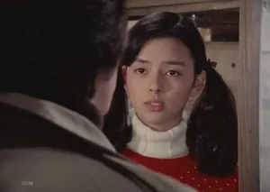 The Tragic Story of Nana Okada: The Japanese Idol Whose Career Was Ruined by a Fan Kidnapping - image 3