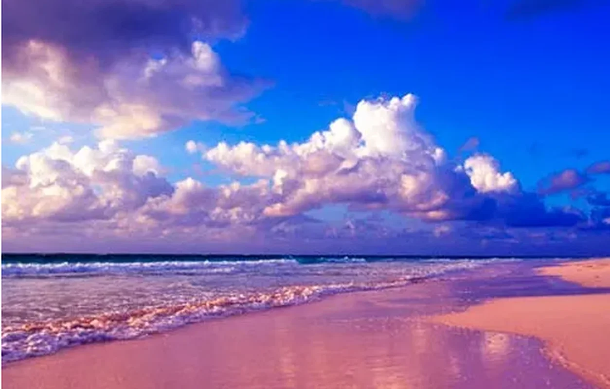 10 Breathtaking Pink Sand Beaches You Must Visit Around the World