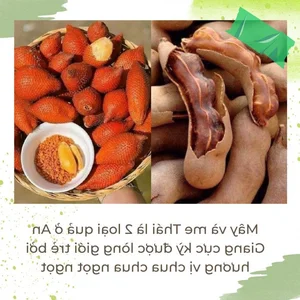 7 Best An Giang Specialties to Buy as Souvenirs and Gifts - image 4