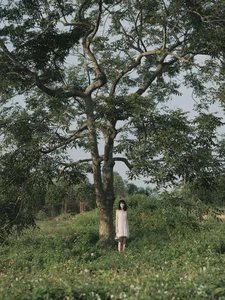 Elegant Portraiture in YiTuYu Art Language Vol.4382 with Bai No - image 28