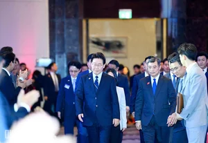 Vietnam-South Korea Economic Forum: Strengthening Bilateral Trade and Strategic Investment Partnerships - image 0