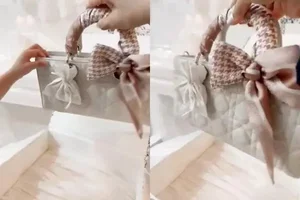 Nha Phuong Defines Maternity Chic with Luxury Handbags and Elegant Style - image 3