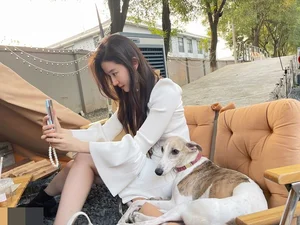 Inside the Luxurious and Elegant Life of Chinese Superstar Liu Yifei - image 0