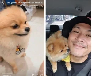 Truong The Vinh: Navigating Fame, Past Heartbreak, and Rumored Romances - image 6