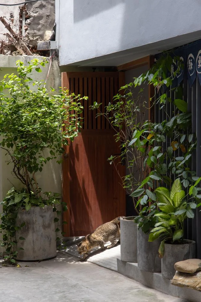 Loli House: Maximizing Light in a 35m2 Hanoi Alley Home