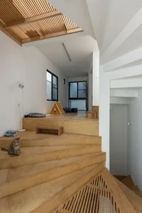 Loli House: Maximizing Light in a 35m2 Hanoi Alley Home - image 1
