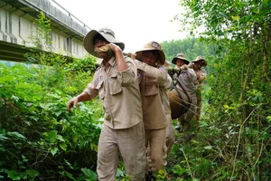 Unwelcome Discovery: Dangerous Wartime UXO Reappears in Quang Binh Forests - image 3
