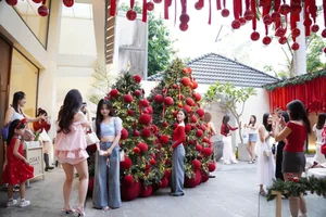 Charming Villa Cafes in Saigon: The Ultimate Christmas Check-in Destinations - image 4