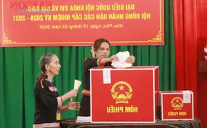 Cultural Colors of Vietnam Central Highlands Election Day - image 0