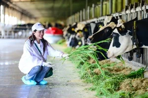 Vinamilk Green Farm: Unlocking Nature Through Sustainable Ecological Dairy Farming Models - image 9