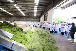 Vinamilk Green Farm: Unlocking Nature Through Sustainable Ecological Dairy Farming Models - image 6