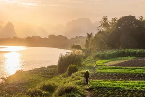 Vietnam Destinations Achieve Global Acclaim at World Travel Awards 2023 - image 7