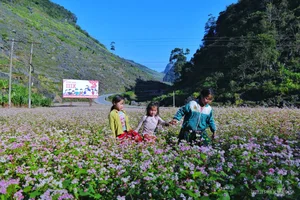 Vietnam Destinations Achieve Global Acclaim at World Travel Awards 2023 - image 4