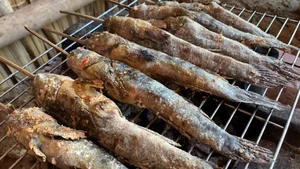 The Amazing Mudskipper: Vietnam’s Tree-Climbing Fish and Its Rising Culinary Popularity - image 3