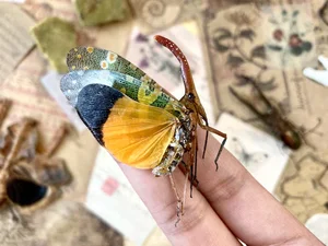 Vietnam's Exotic Flying Elephant Insect Is a Masterpiece of Nature - image 5