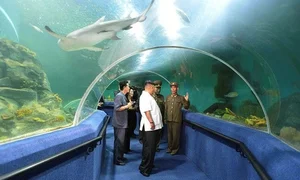 Inside Songdowon: A Rare Look at North Korea’s International Summer Camp - image 8