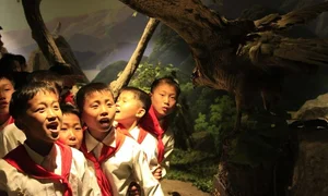 Inside Songdowon: A Rare Look at North Korea’s International Summer Camp - image 1
